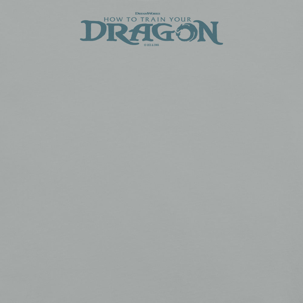 How to Train Your Dragon We Have Dragons Comfort Colors T-Shirt