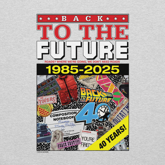 Back to the Future 40th Anniversary Hoodie Ash-5