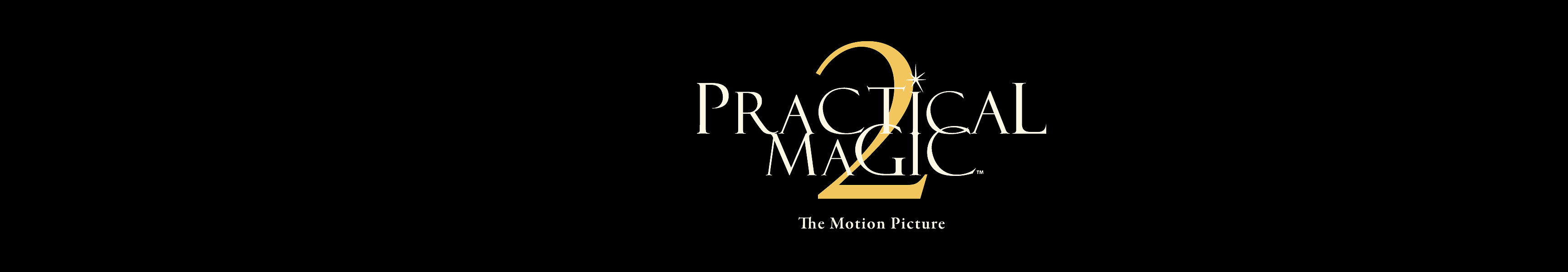Practical Magic Movie Merch