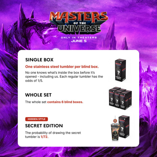 Masters of the Universe 2026 Movie Blind Box Tumbler mystery packaging-5