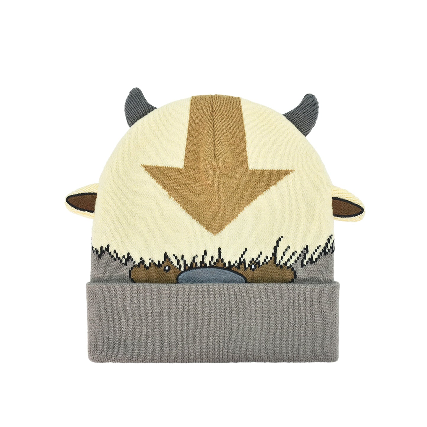 Avatar The Last Airbender Knitted Winter with Cuff Beanie Hat front view