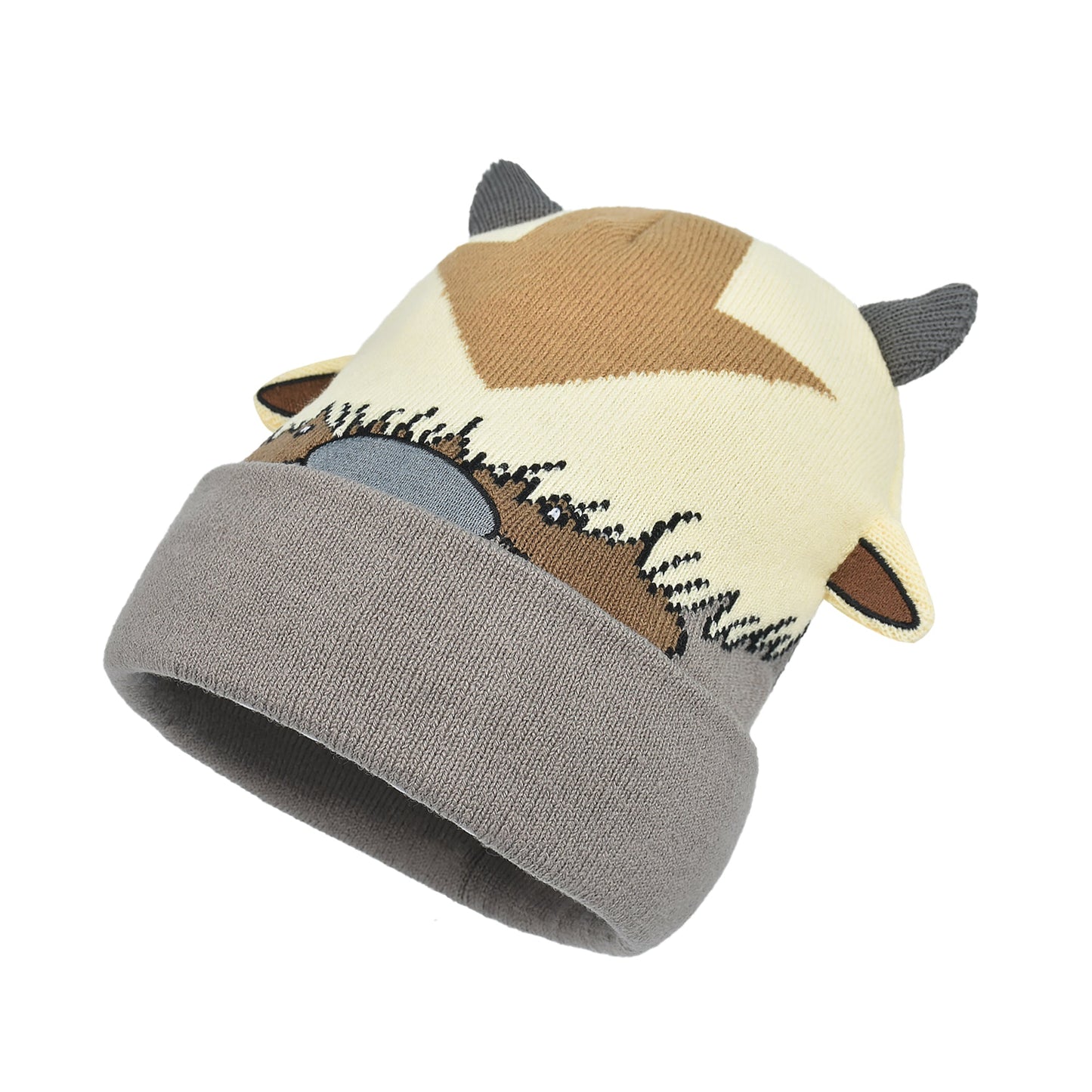 Avatar The Last Airbender Knitted Winter with Cuff Beanie Hat lifestyle shot