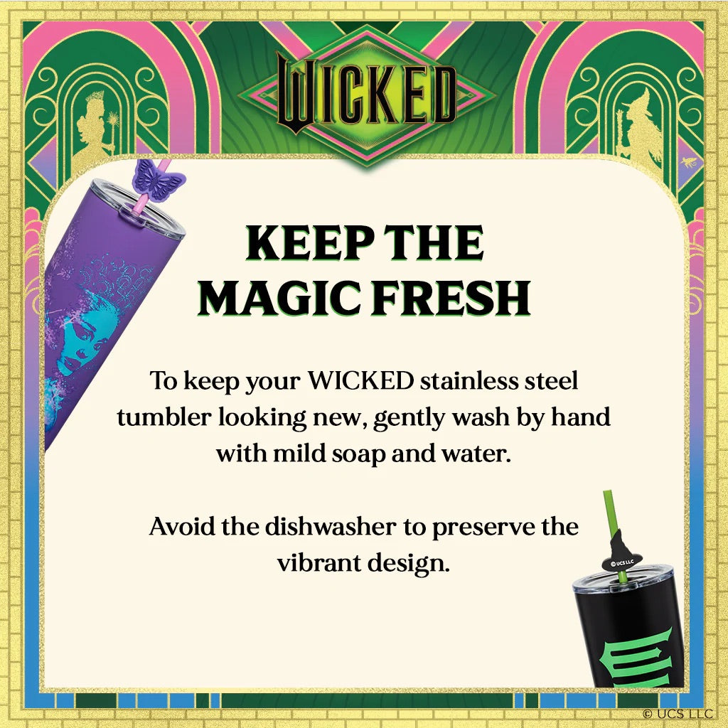 Wicked For Good Tumblers - 24 oz Set of 2