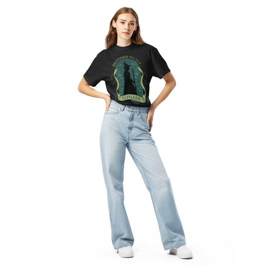 Wicked Enchanted Elements Destined To Fly Elphaba Comfort Colors T-Shirt Black-1