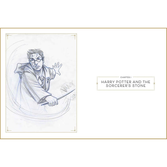 Harry Potter: The Storyboards-4