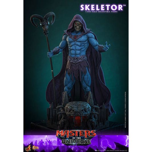 Masters of the Universe x Hot Toys Skeletor Sixth Scale Figure-8